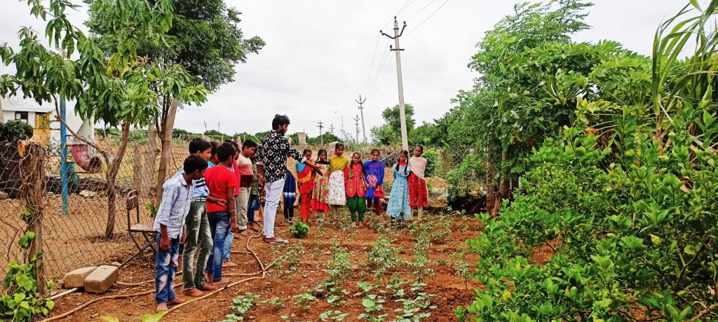 School Gardening Practical Activity